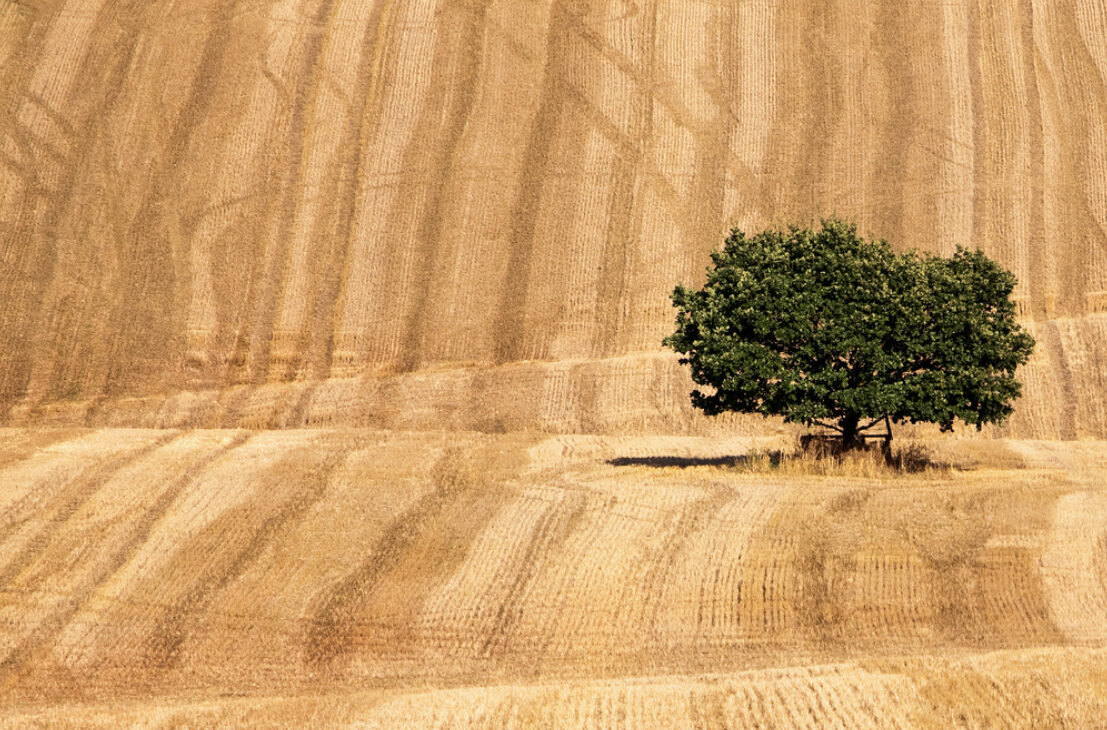 Gabriella Chi - Pouvoir guérisseur de l'immobile