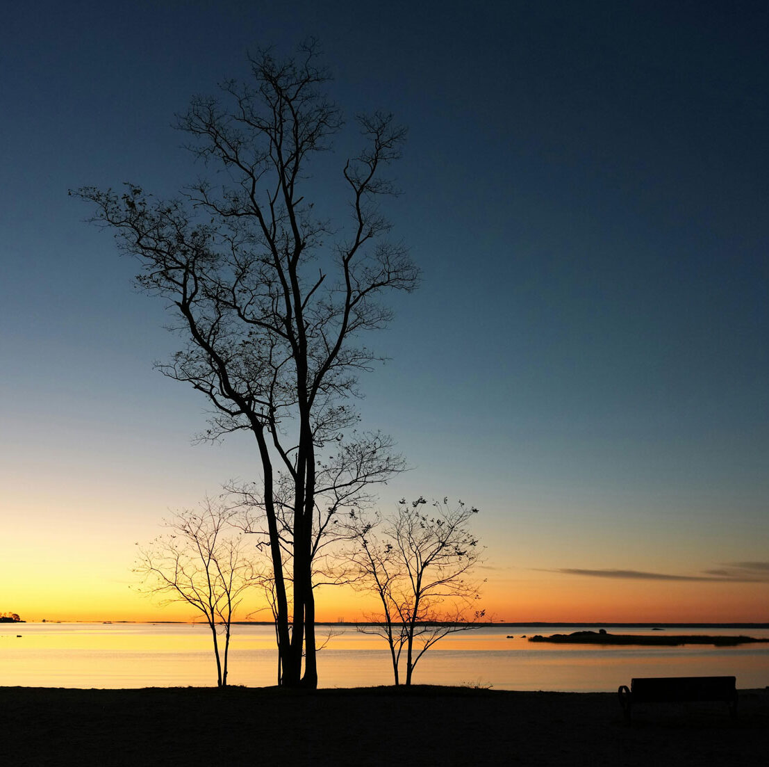 novembre-blogue-gabriella-chi Quand la lumière vient du silence | Gabriella Chi | Cours de Qigong