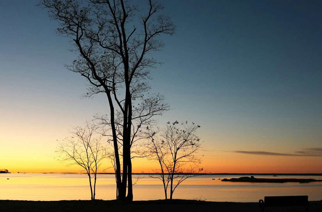 Quand la lumière vient du silence | Gabriella Chi | Cours de Qigong