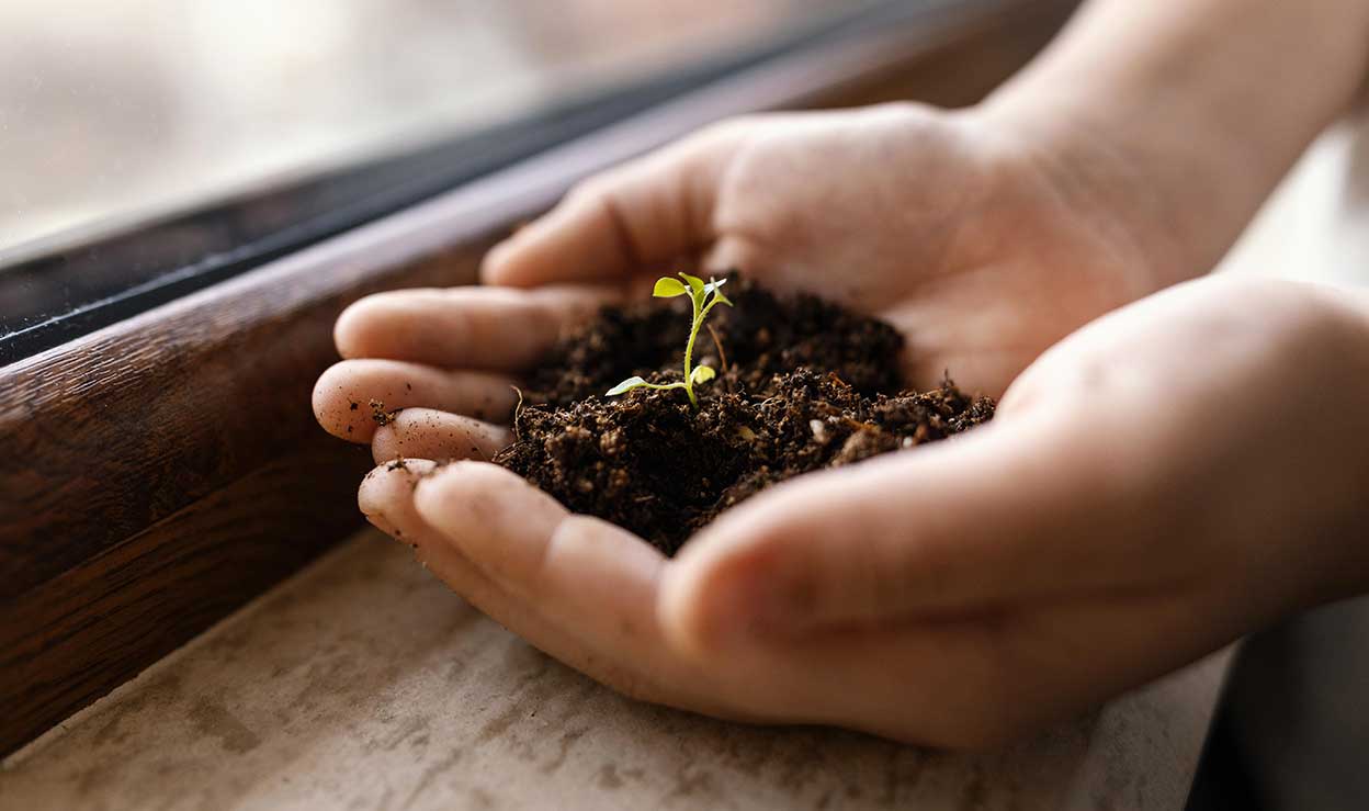 Gabriella Chi | Quand la lumière devient intention