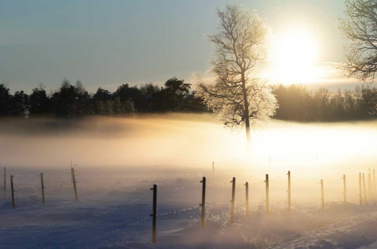 brume-matinale-blogue-gabriella-chi Paysage d'hiver avec brume matinale calme et soleil caché derrière un arbre | Quand le printemps commence en silence | Gabriella Chi